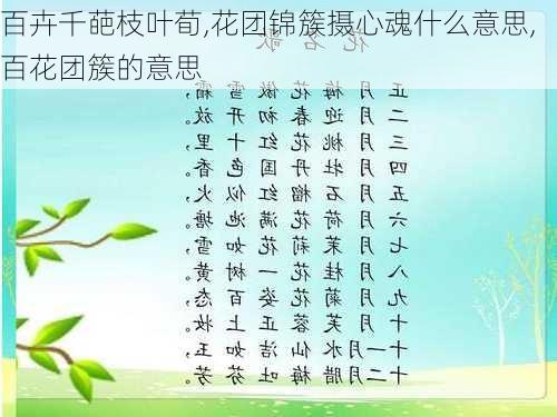 百卉千葩枝叶荀,花团锦簇摄心魂什么意思,百花团簇的意思