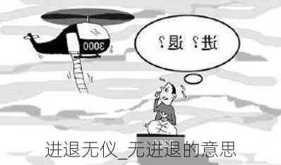 进退无仪_无进退的意思