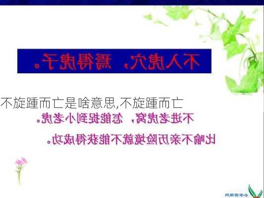 不旋踵而亡是啥意思,不旋踵而亡