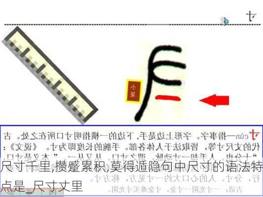 尺寸千里,攒蹙累积,莫得遁隐句中尺寸的语法特点是_尺寸丈里