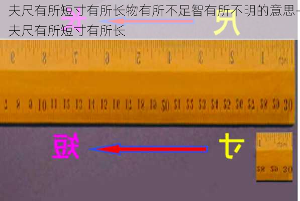 夫尺有所短寸有所长物有所不足智有所不明的意思-夫尺有所短寸有所长